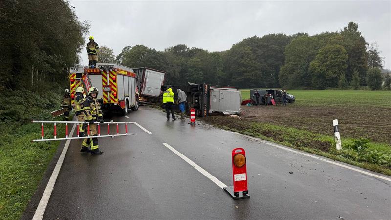 Ein Tiertransporter verunglückt, die Feuerwehr unterstützt beim Einfangen der Schweine. 