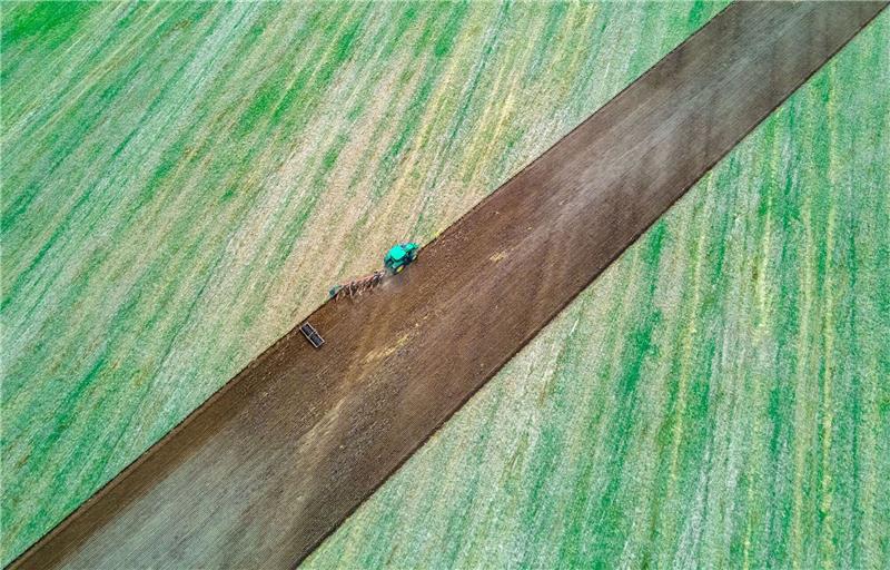 Landwirte leiden unter Preisdruck und schlechten Böden Ein Traktor zieht Pflug und Egge über ein abgeerntetes Feld.