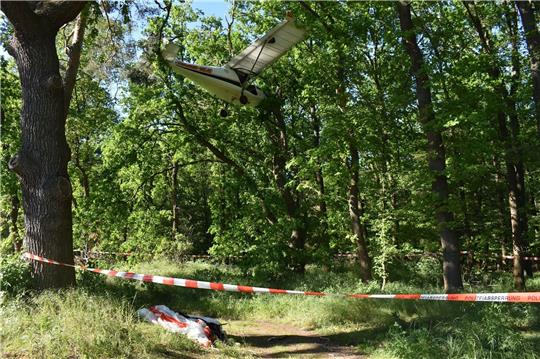 Ein Ultraleichtflugzeug ist bei Dessau-Roßlau in eine Baumkrone gestürzt. Der 64 Jahre alte Pilot blieb unverletzt.