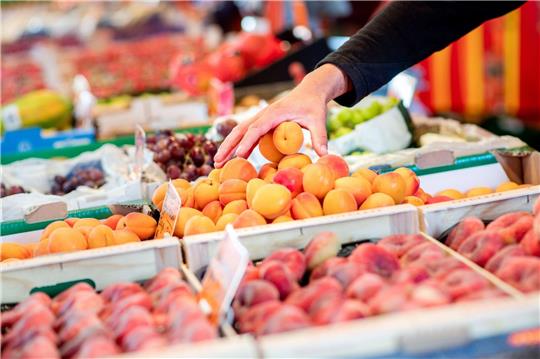 Ein Verkäufer an seinem Obst- und Gemüsestand in Oldenburg: Die Inflation in Europa ist im internationalen Vergleich eher maßvoll.