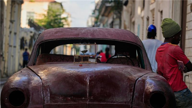 Ein Vogel in einem Käfig steht in Havanna zum Verkauf auf der Motorhaube.