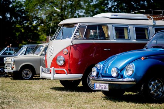 Ein Volkswagen T1 und ein VW-Käfer  beim Bockhorner Oldtimermarkt.
