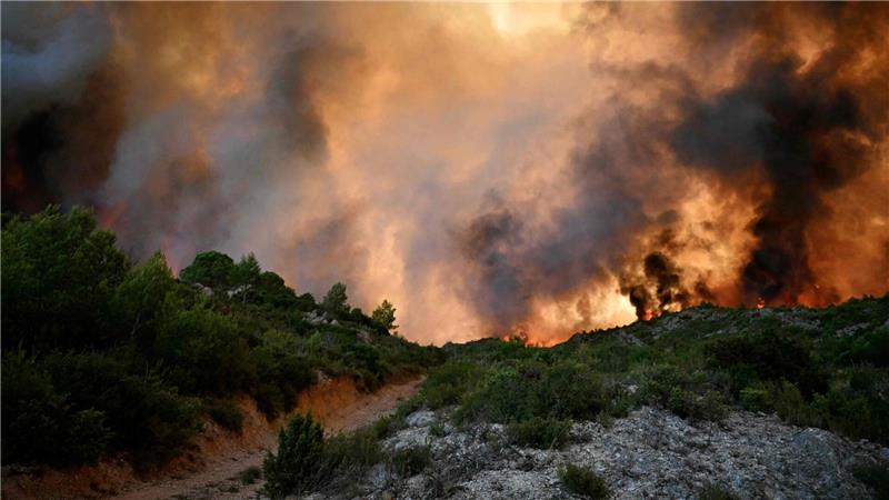Ein Wald steht nahe Fontjoncouse, im Südwesten Frankreichs, in Flammen.