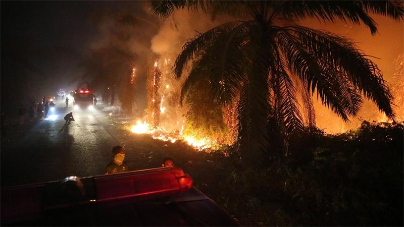 Ein Waldbrand breitet sich in einem Torfmoorgebiet auf Borneo in Indonesien aus.