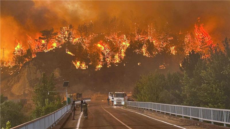 Bilder des Tages Ein Waldbrand wütet in einem Waldgebiet in der Nähe des Dorfes Cavuslar im Bezirk Karabuk im Nordwesten der Türkei.