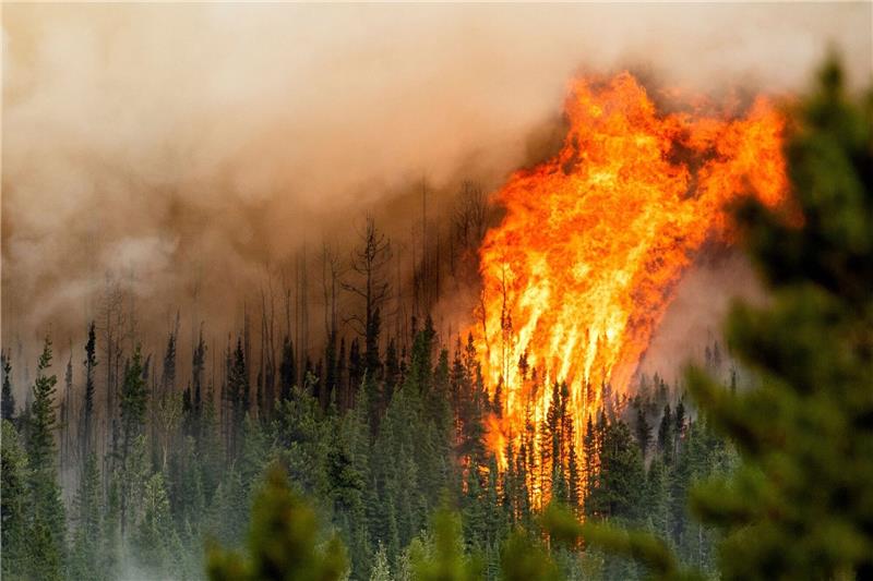 Bericht: Zerstörung von Wäldern weltweit hat 2022 zugenommen Ein Waldbrand wütet nahe Fort St. John in der kanadischen Provinz British Columbia.