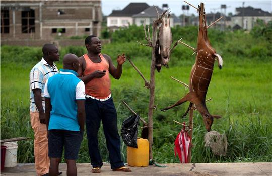 Ein Wildfleischhändler im Gespräch mit potenziellen Kunden im ölreichen Bundesstaat Bayelsa.