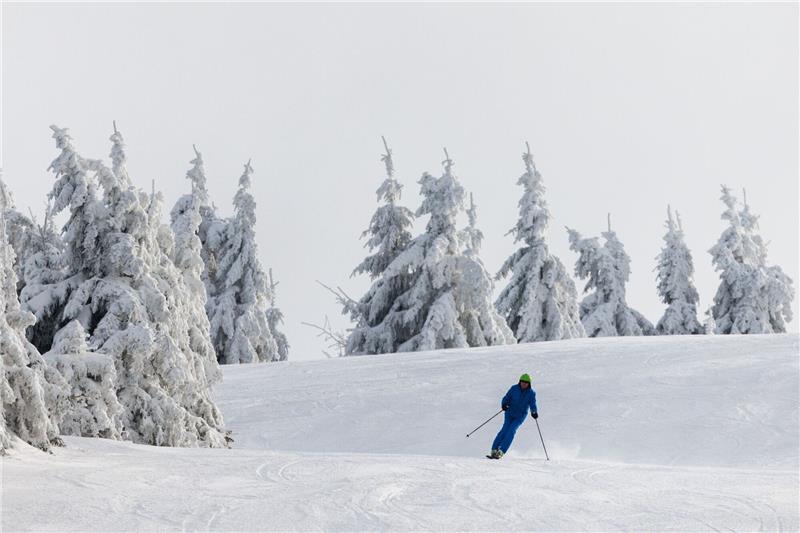 Skisaison startet hoffnungsvoll mit viel Neuschnee Ein Wintersportler fährt auf Skiern eine Piste hinunter.
