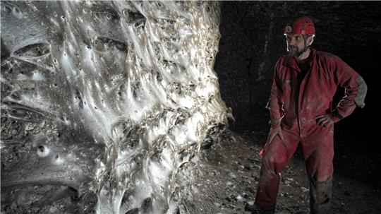 Ein Wissenschaftler vor dem riesigen Spinnennetz