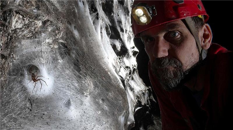 Griechenland: Gewaltiges Spinnennetz in Höhle entdeckt Ein Wissenschaftler vor dem riesigen Spinnennetz