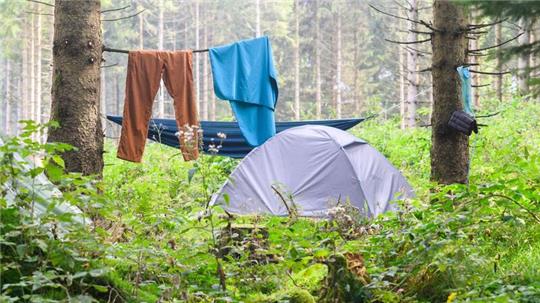 Ein Zelt steht bei einem illegalen Zeltlager im Harz. Im Harz campen derzeit rund 1.500 Menschen aus aller Welt mitten im Wald. Die Camper der Bewegung «Rainbow Family» setzen sich mit ihrem Zeltlager «Rainbow Gathering» unter anderen für den Weltfrieden ein.