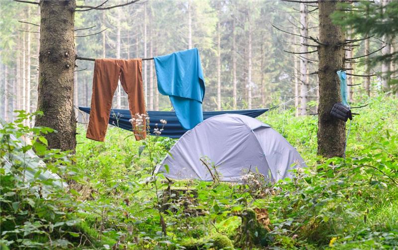 Ein Zelt steht bei einem illegalen Zeltlager im Harz.