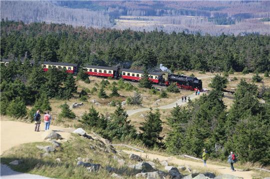 Ein Zug der Harzer Schmalspurbahn HSB fährt zum Brocken. Fotos: Matthias Bein/DPA