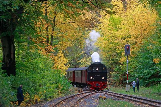 Ein Zug der Harzer Schmalspurbahn steht im Bahnhof Steinerne Renne in Wernigerode.