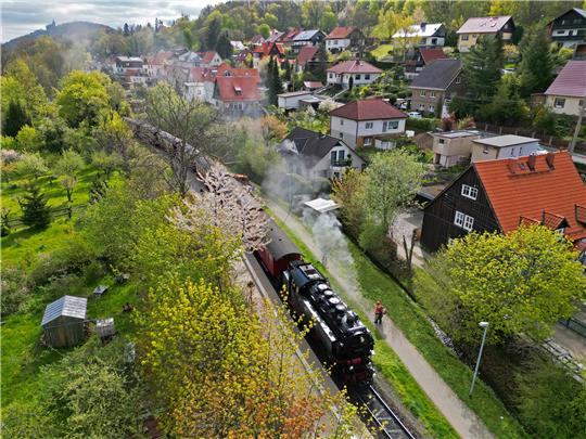 Ein Zug der Harzer Schmalspurbahnen GmbH (HSB) fährt durch einen Ort. Mit Beginn des Sommerfahrplan werden für die wärmeren Monate eigentlich mehr Verbindungen für Touristen und Einheimische angeboten. Durch akuten Personalmangel ändert sich dieser allerdings im Juli. Foto: dpa