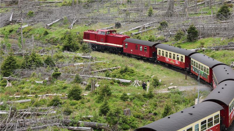 Ein Zug der Harzer Schmalspurbahnen GmbH (HSB) fährt mit einer Diesellok bespannt auf den Brocken. Ab Waldbrandstufe 4 fährt die HSB ausschließlich mit Dieselloks auf der Brockenstrecke.