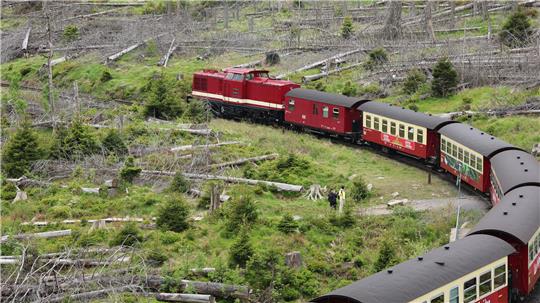 Ein Zug der Harzer Schmalspurbahnen GmbH (HSB) fährt mit einer Diesellok bespannt auf den Brocken. Ab Waldbrandstufe 4 fährt die HSB ausschließlich mit Dieselloks auf der Brockenstrecke.