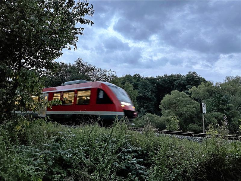 Harz: Hatix-Ticket gilt bald auch für die Bahn Ein Zug nahe Walkenried: Hatix gilt künftig auch auf der Schiene, zunächst auf zwei Strecken im Raum Osterode. Foto: Eggers