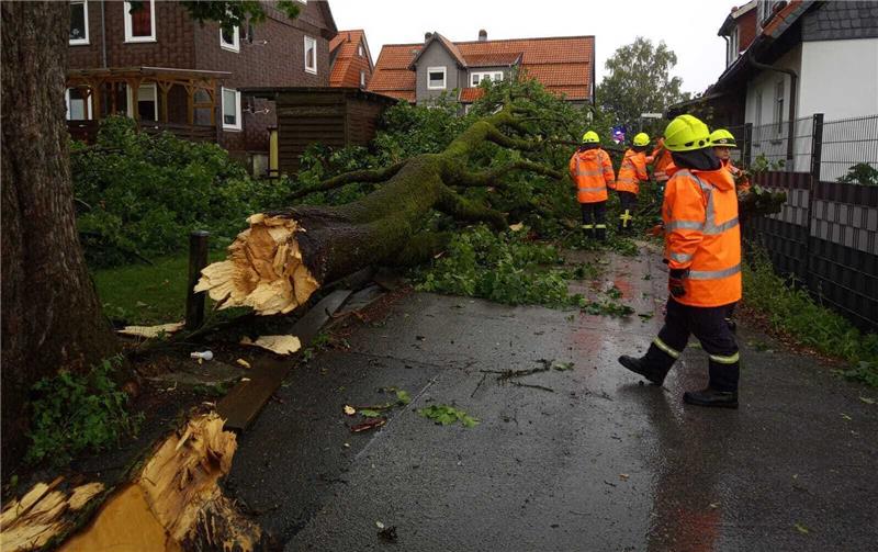 Heftiger Gewittersturm reißt etliche Bäume um Ein abgebrochener Baum liegt auf der Schützenstraße in Zellerfeld. Foto: Feuerwehr
