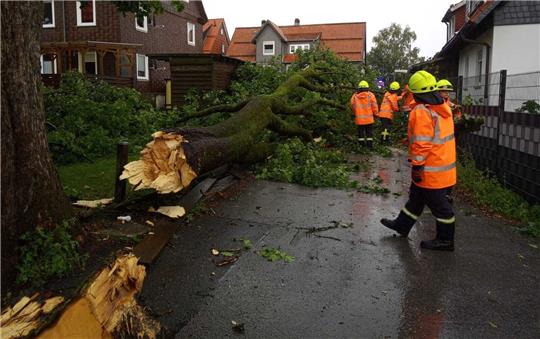 Ein abgebrochener Baum liegt auf der Schützenstraße in Zellerfeld. Foto: Feuerwehr