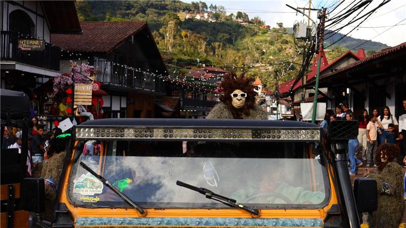 Ein als Gorilla verkleideter Mann nimmt an einem traditionellen deutsch-venezolanischen Fest während der Karnevalsfeierlichkeiten in Colonia Tovar in Venezuela teil. 