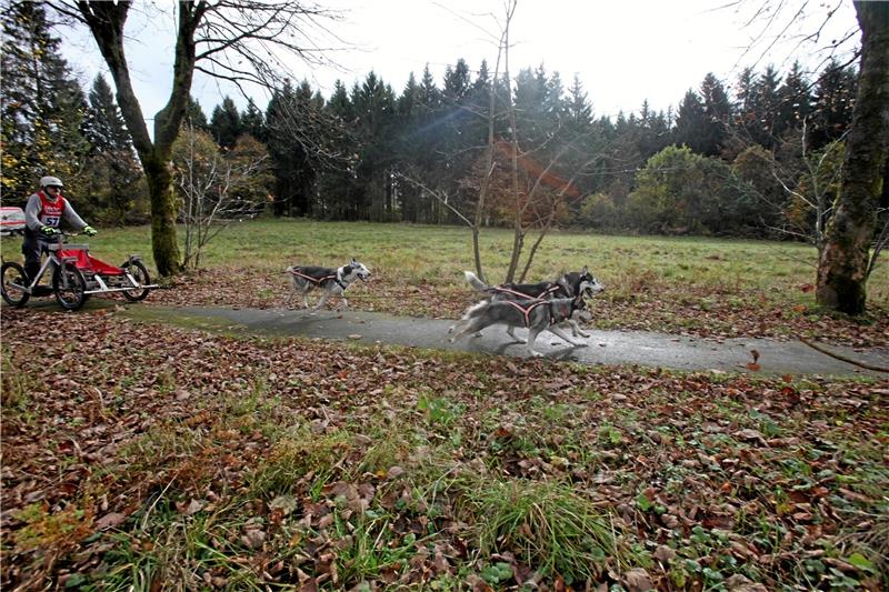 Ein bisschen Sonne auf dem bunten Herbstlaub an der Wettkampfstrecke: Das Indian Summer Race über die Bremer Höhe macht seinem Namen Ehren. Fotos (3): Bruns