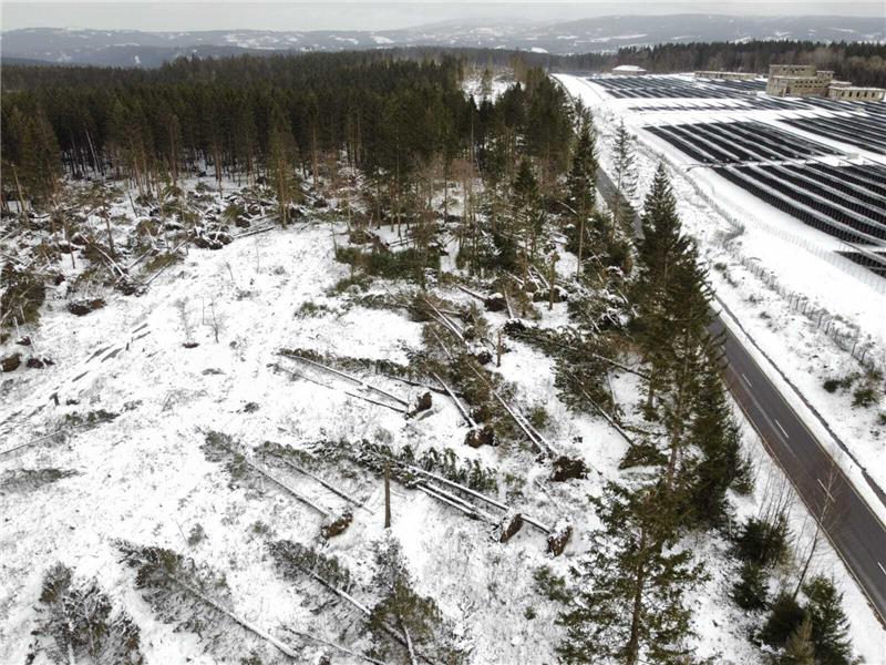 Ein erschütterndes Bild: An der K 38 zwischen Clausthal-Zellerfeld und Altenau haben die Stürme viele Bäume zu Fall gebracht. Fotos: Neuendorf
