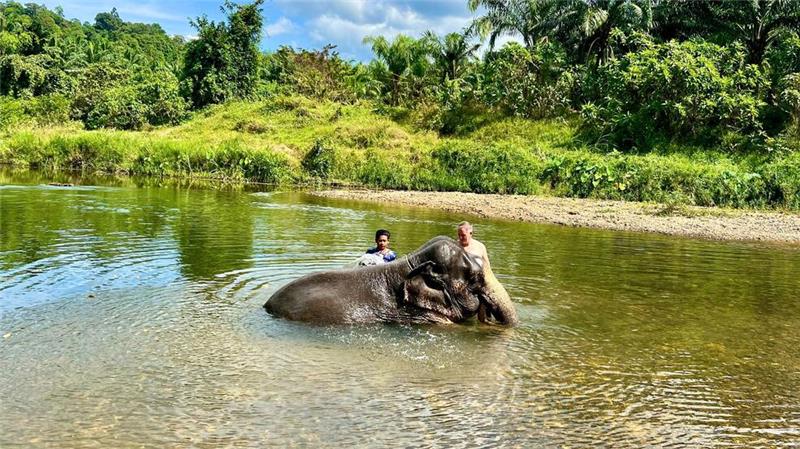 Elefant tötet in Thailand spanische Touristin Ein gemeinsames Bad mit Elefanten gilt in den Camps als eine der Hauptattraktionen für Touristen. (Archivbild)