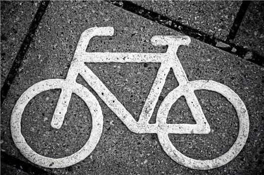 Ein geplanter Radweg von Goslar über Oker nach Vienenburg sorgt für Umweltsorgen. Foto: Pixabay