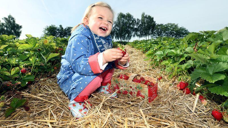 Ein großer Spaß für die Kleinen Foto: Thomas Warnack/dpa