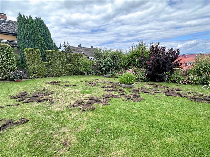 Ein gutes Dutzend Mal wird der Garten der Marths zerstört. Nun wissen sie, von wem. Foto: Privat