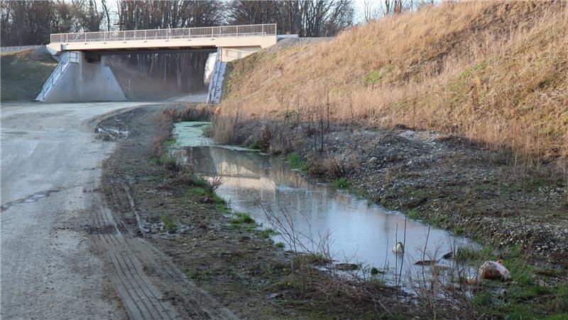 Ein hoher Grundwasserspiegel bereitet Probleme.