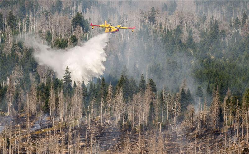 Ein italienisches Löschflugzeug bekämpft einen Waldbrand am Brocken. Foto: Julian Stratenschulte/DPA