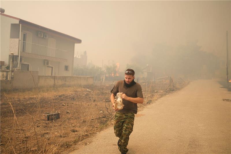 Griechenland kämpft gegen zahlreiche Brände Ein junger Mann rettet eine kleine Katze vor den Flammen.