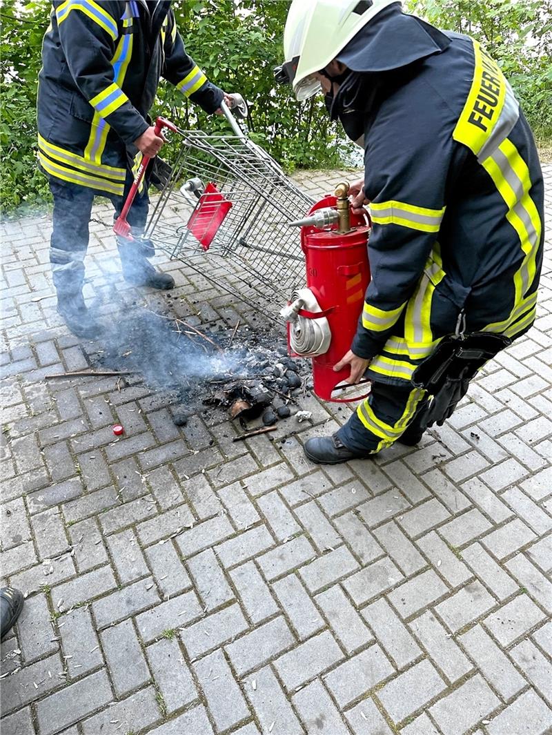 Ein kurioser Einsatz hat mit einem Einkaufswagen zu tun. Foto: Feuerwehr