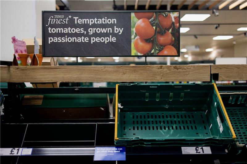 „Lasst sie Rüben essen”: Wieso den Briten das Gemüse fehlt Ein leeres Gemüseregal in einem Londoner Supermarkt. Supermarktketten wie Tesco haben Rationierungen und Kaufbeschränkungen für bestimmte Obst- und Gemüsesorten angekündigt.