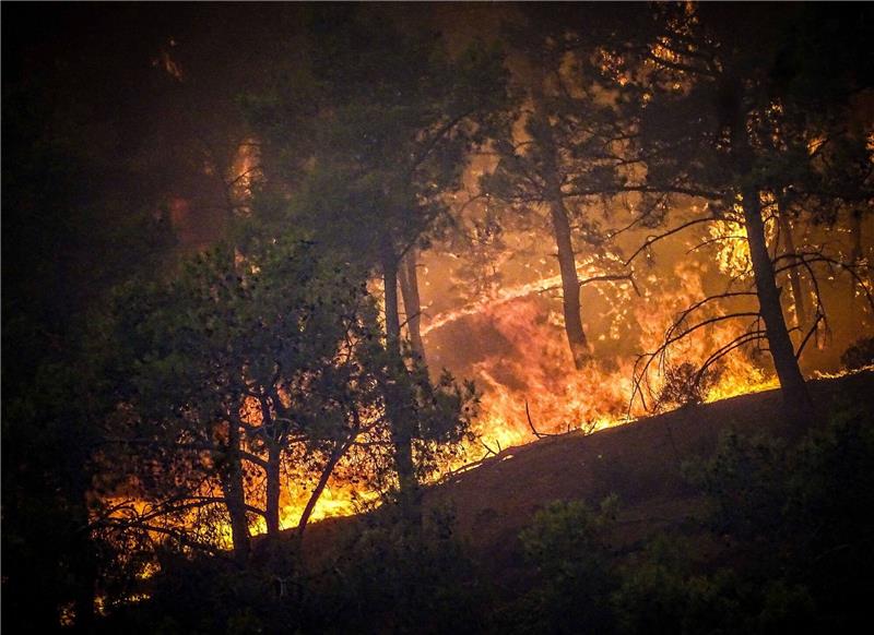 Brände auf Rhodos wüten weiter Ein massiver Waldbrand tobt auf der griechischen Insel Rhodos.