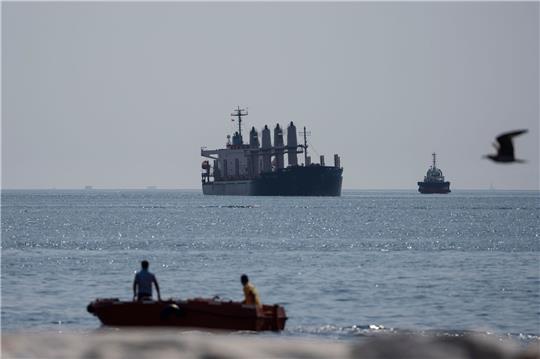 Ein mit Getreide beladene Frachtschiff auf dem Marmarameer bei Istanbul (Symbolbild).