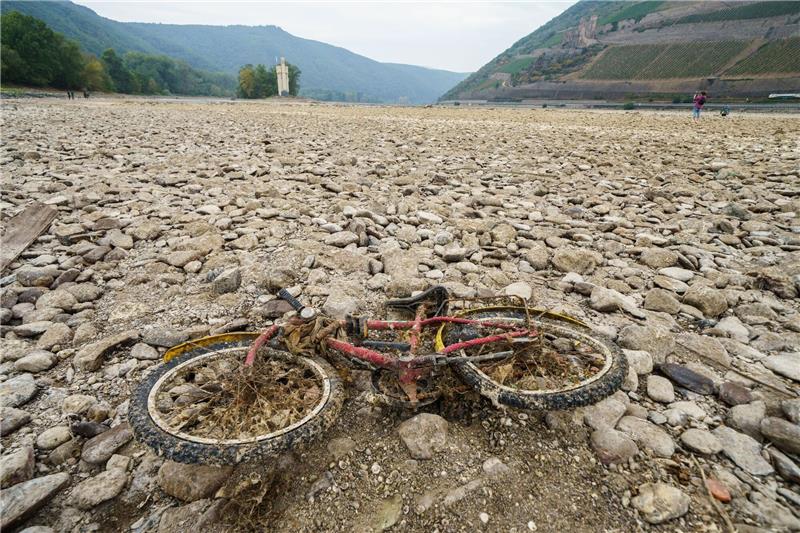 Studie: Extreme Dürre in Europa alle 20 Jahre zu erwarten Ein mit vertrockneten Muscheln und Algen bedecktes Kinderfahrrad liegt im weitgehend ausgetrockneten Flussbett des Rheins bei Bingen.