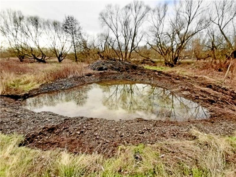Ein neu angelegtes Gewässer im Nordharz.  Foto: Privat