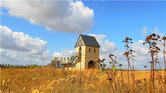 Ein neues Konzept für den Archäologie- und Landschaftspark Kaiserpfalz Werla haben zwei Architekturbüros erarbeitet. Die Grundsätze der Planungen für die kommenden Jahre erläutert Prof. Dr. Edmund Brand im GZ-Gespräch. Archivfoto: Biener