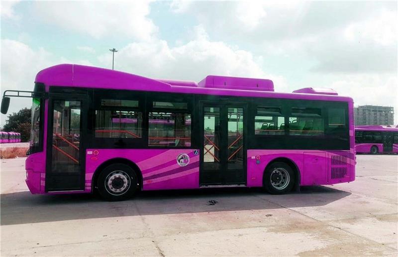Ein pinkfarbener Bus auf einem Busparkplatz: Nur Frauen und Mädchen dürfen mitfahren.