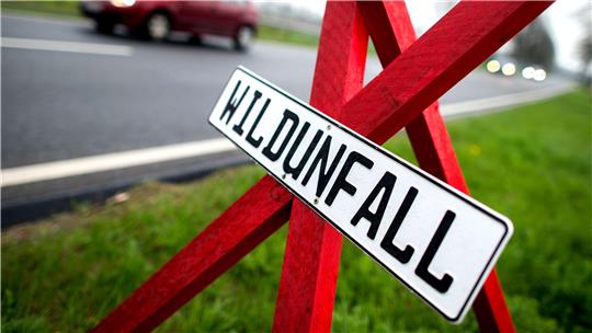 Ein rotes Dreibein mit dem Hinweis auf einen Wildunfall steht an einer Landstraße. (Symbolbild)