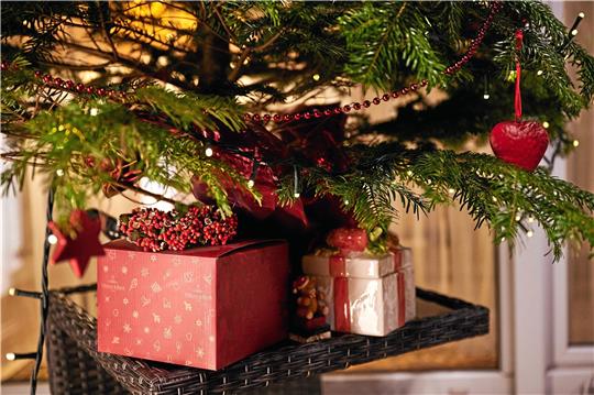 Ein schön geschmückter Christbaum ist auch ein Fest fürs Auge. Aber was, wenn der Baum selbst zum Himmel stinkt?  Foto: dpa