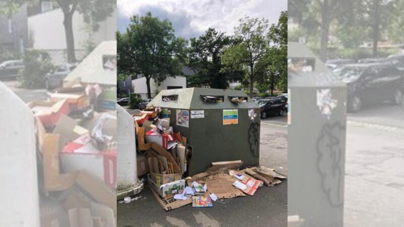 Ein überfüllter Altpapiercontainer hinter der Kreismusikschule in Goslar. Das Foto stammt aus der vorletzten Woche.