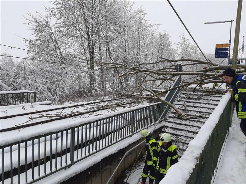 Umgestürzter Baum löst Stromschlag aus - zwei Verletzte Ein umgestürzter Baum an der S-Bahnhaltestelle St. Koloman in Wörth sorgt für Verletzungen.