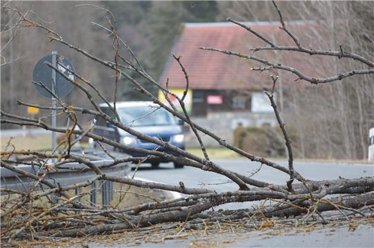 Ein umgestürzter Baum blockiert eine Straße. Symbolfoto: Matthias Bein |dpa