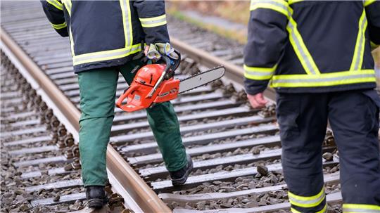 Baum umgestürzt – Bahnstrecke Leer-Oldenburg gesperrt Ein umgestürzter Baum sorgt für Behinderungen auf der Bahnstrecke Norddeich Mole-Hannover. (Symbolbild)