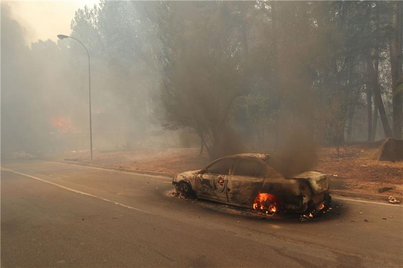 Mindestens 13 Tote bei Waldbränden in Chile Ein Auto ist den Flammen zum Opfer gefallen.