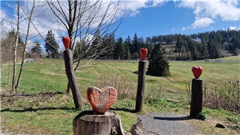 Eindrücke vom Liebesbankweg in Hahnenklee.